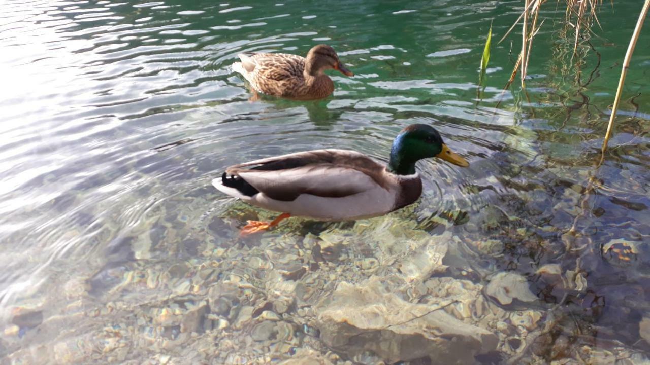 Vacation House Home, Plitvice Lakes National Park Plitvička Jezera Dış mekan fotoğraf